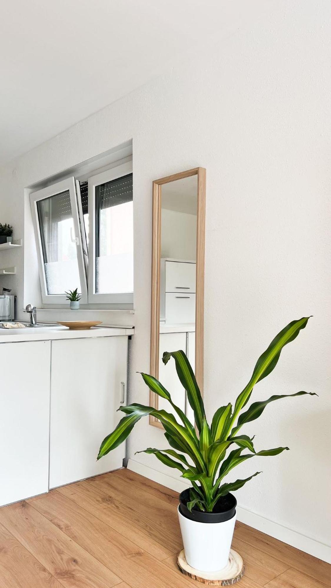 2 Zkb Apartment In Mannheim Kueche - Parken - Grosser Tv ภายนอก รูปภาพ